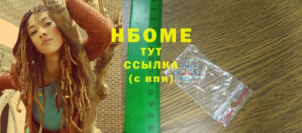 молекула духа Каменногорск