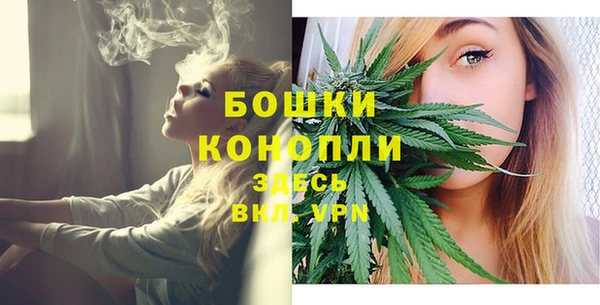 молекула духа Каменногорск