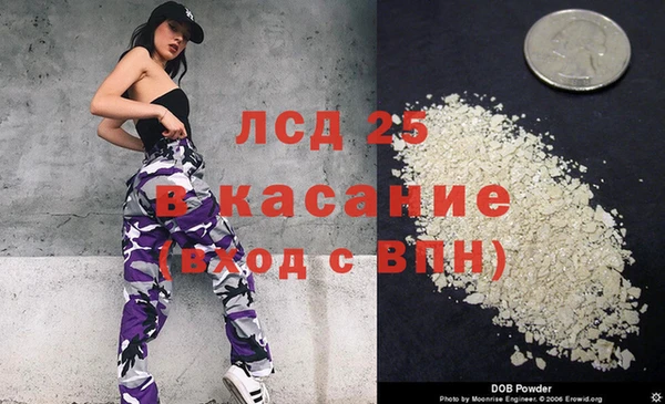молекула духа Каменногорск