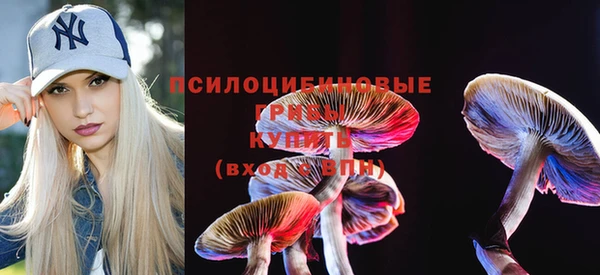 молекула духа Каменногорск