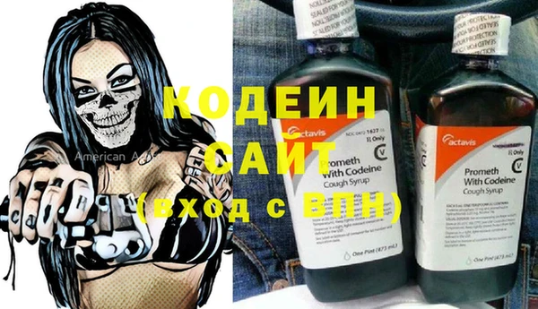 молекула духа Каменногорск